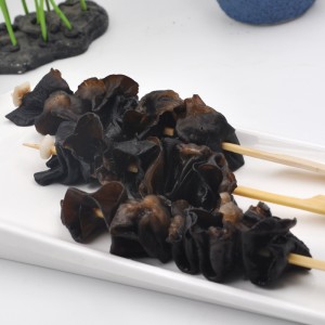 المجمدة السوداء FUNGUS